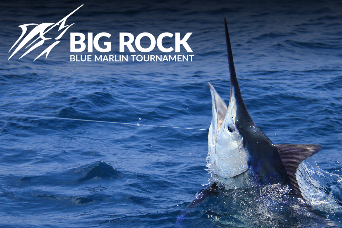 Big Rock Blue Marlin Tournament Schedule 2025 Yachts360