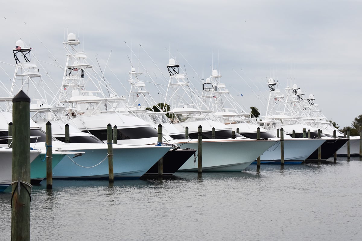 2024 Big Rock Blue Marlin Tournament Schedule Yachts360